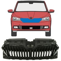 Grill för Skoda Fabia 2018-2021 16214